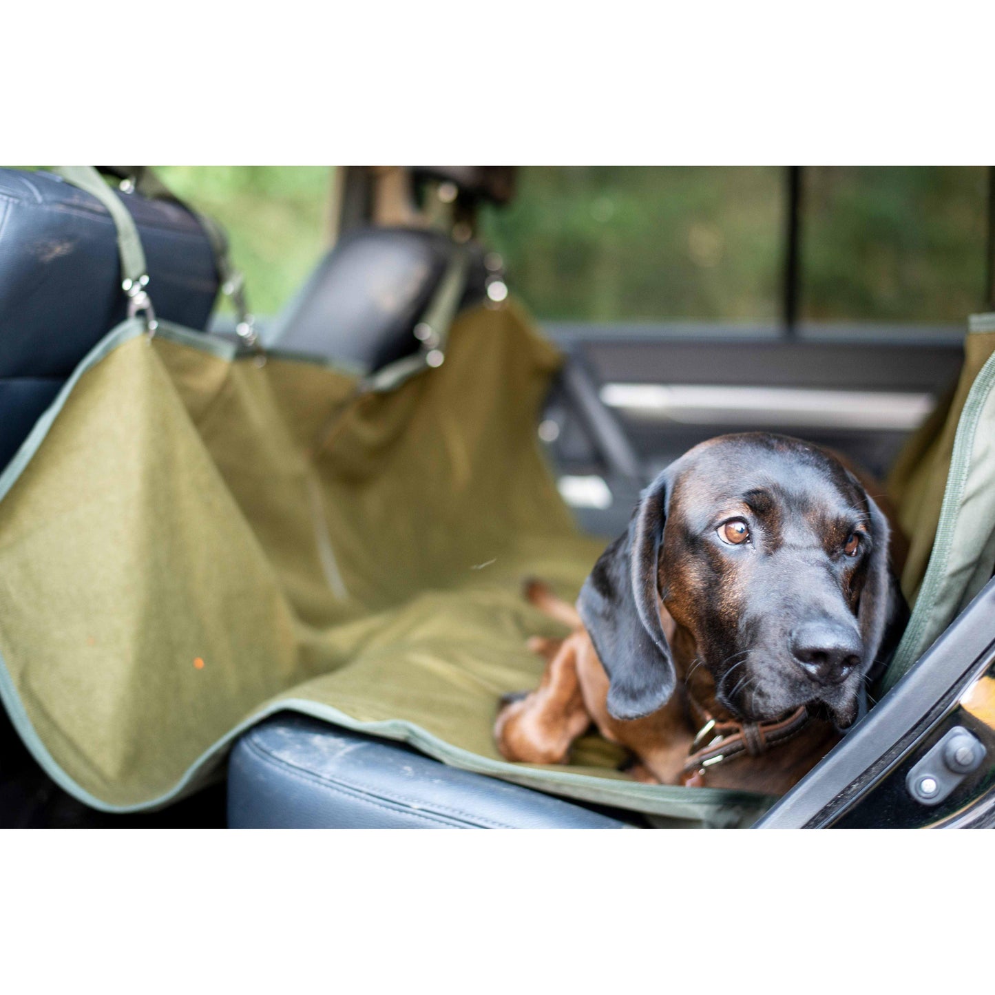 Autositz Schonbezug Für Rückbank.