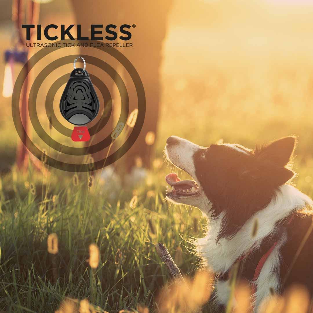 TICKLESS PET Black UN3091/188.