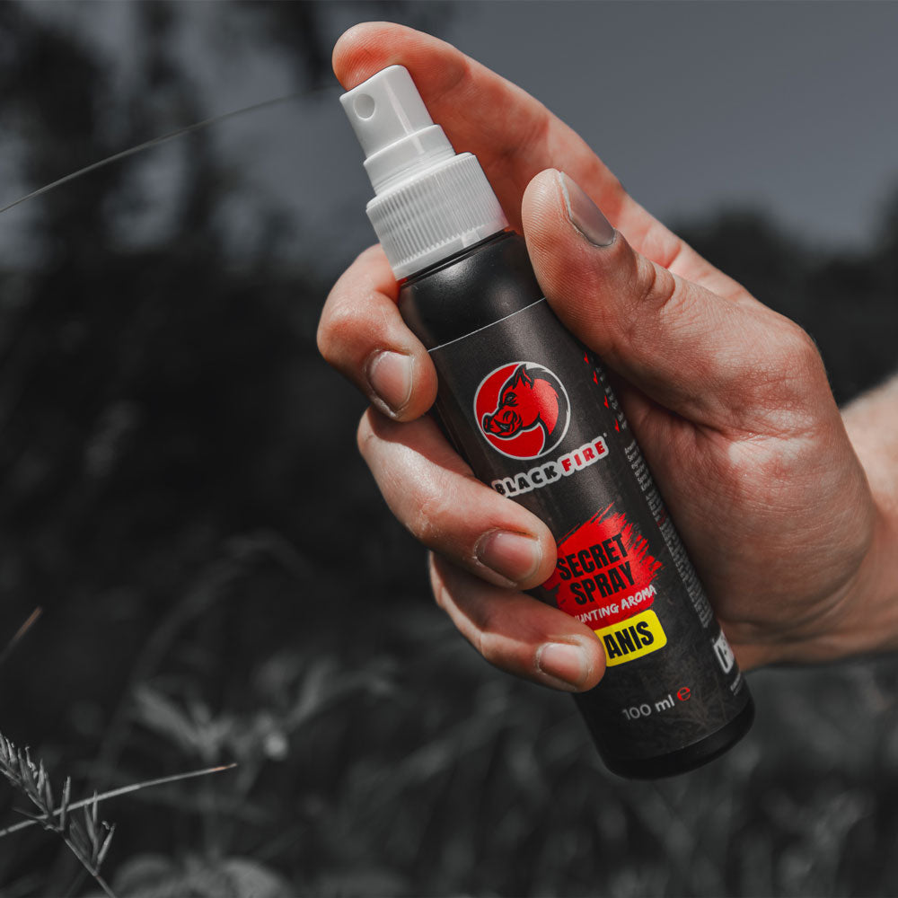 Secret Spray Anis 100 ml