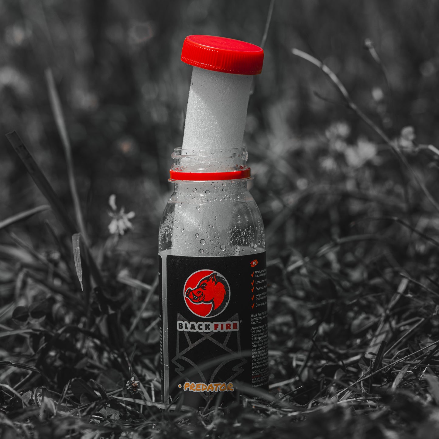 BLACK FIREBLACK FIRE - Predator