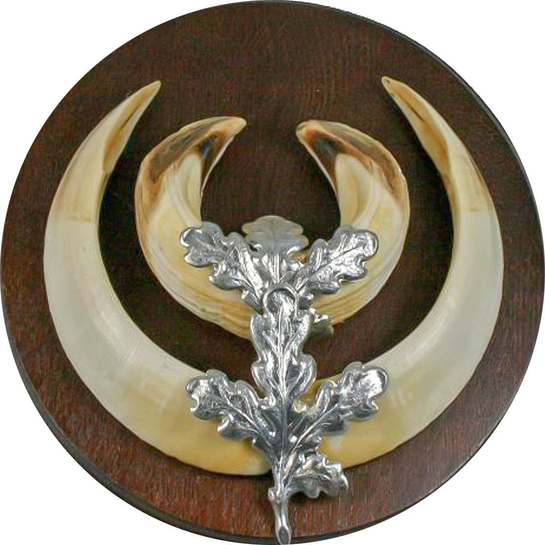 EurohuntEichenlaub für Keilerwaffen 4er Pack silberEichenlaub für Keilerwaffen 4er Pack silber |ForestHuntForestHunt | Locker, Kirrmittel & Jagdbedarf