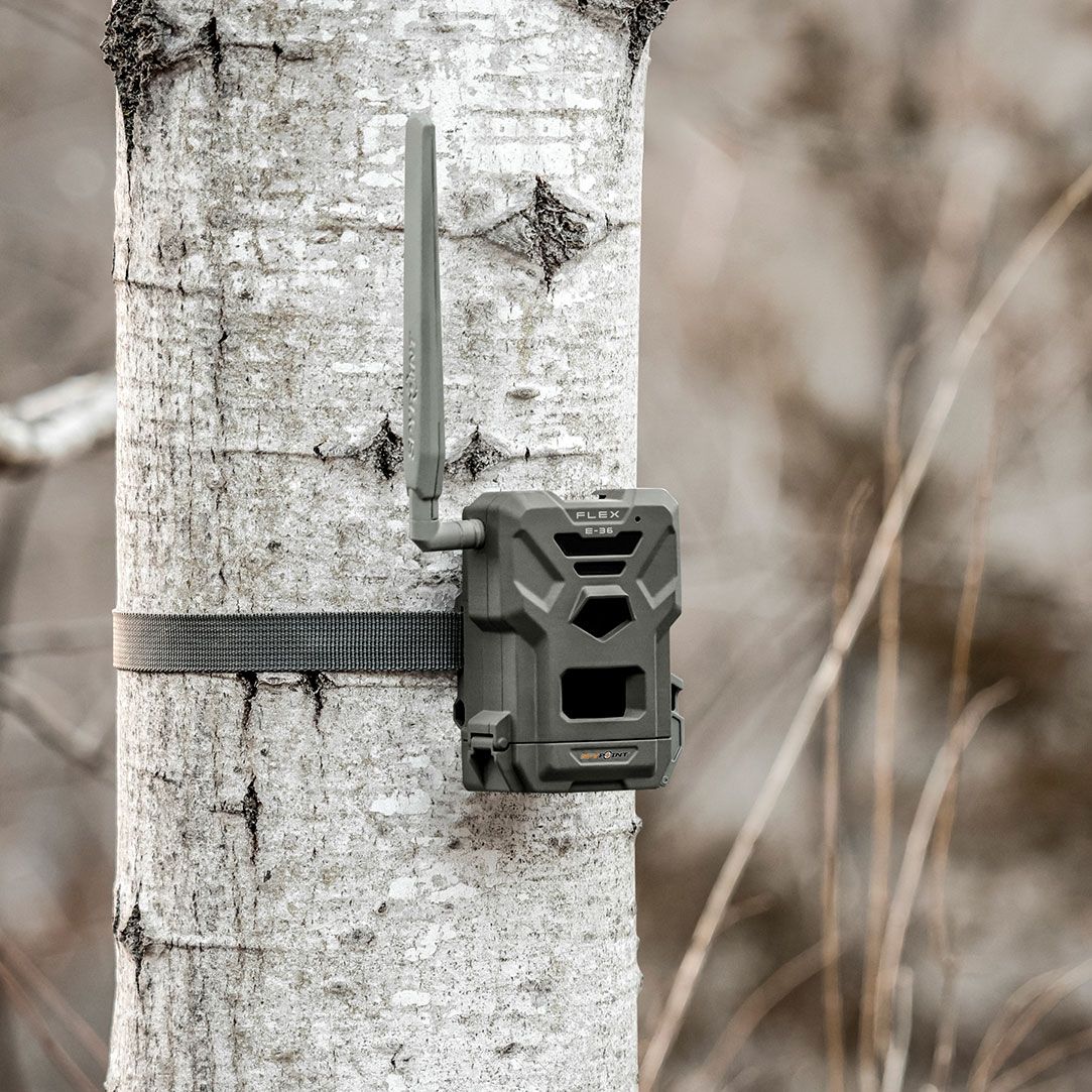SpypointSPYPOINT FLEX E-36
