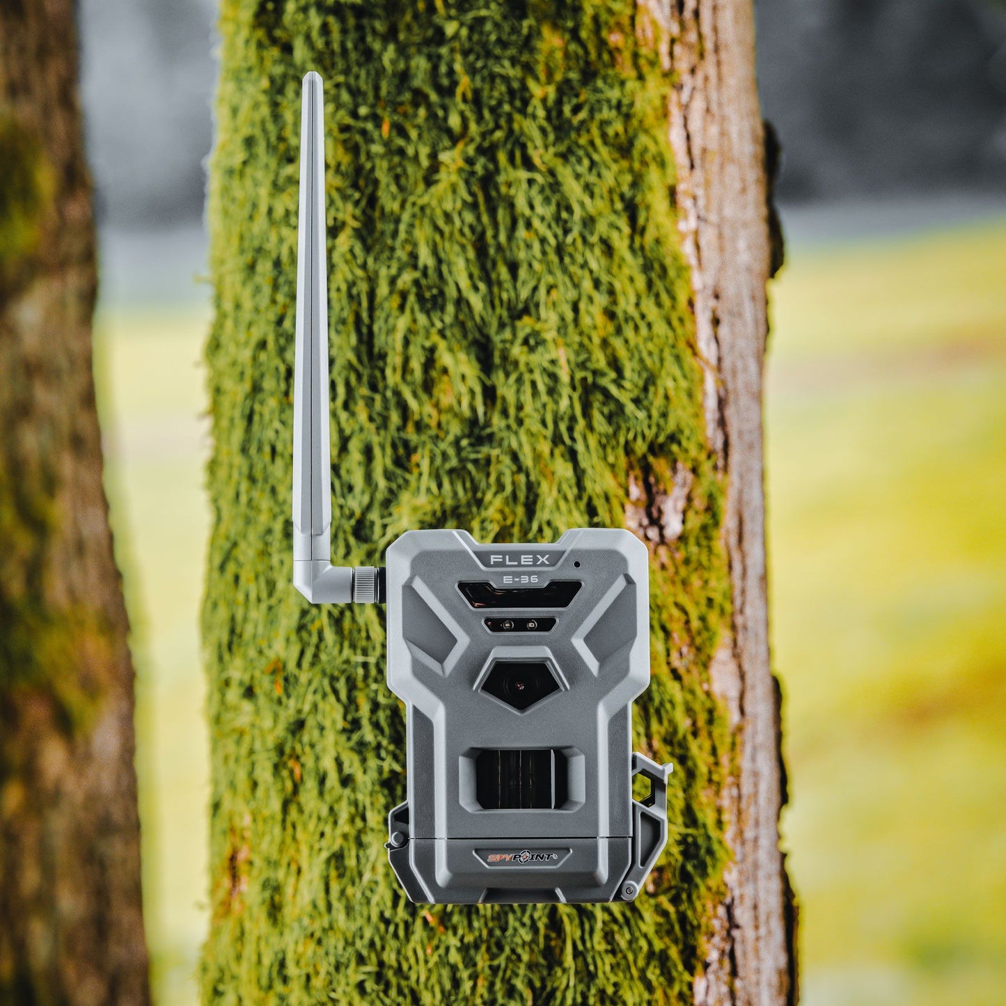 SpypointSPYPOINT FLEX E-36 TWIN-PACK (2 Stück)