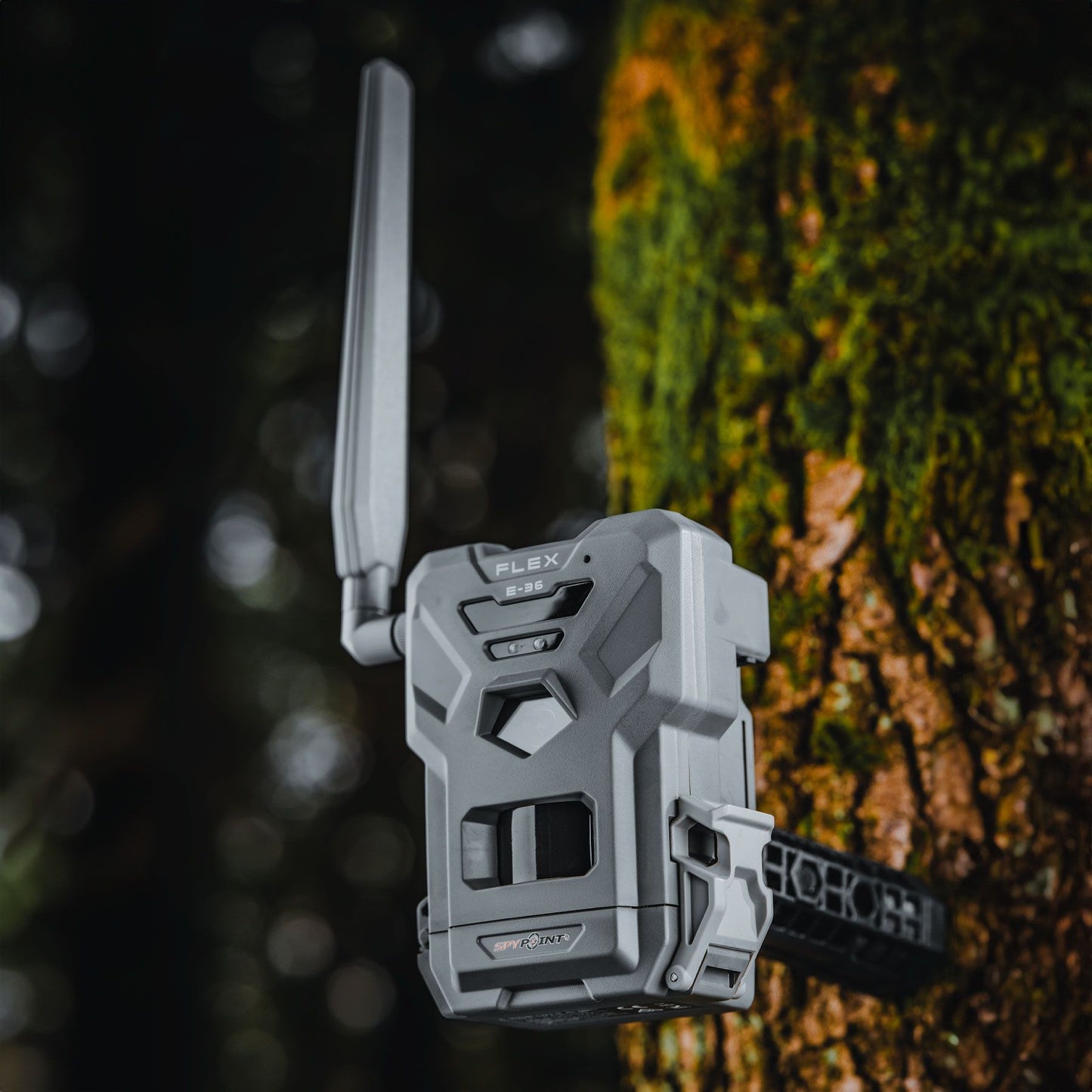 SpypointSPYPOINT FLEX E-36 TWIN-PACK (2 Stück)