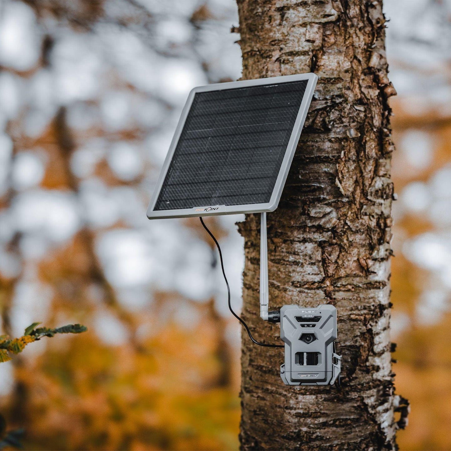 SPYPOINT FLEX E-36 TWIN-PACK.