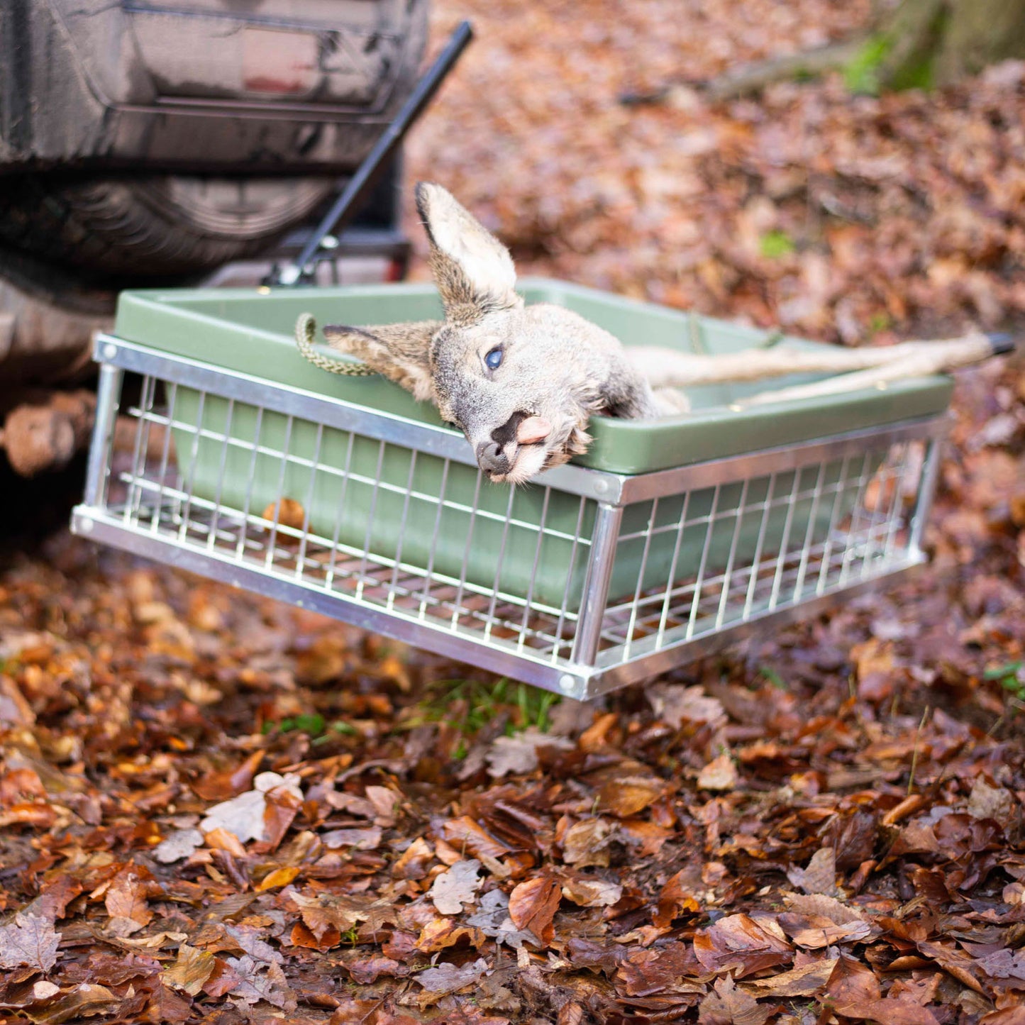 Wildwanne für sauberen Wildtransport