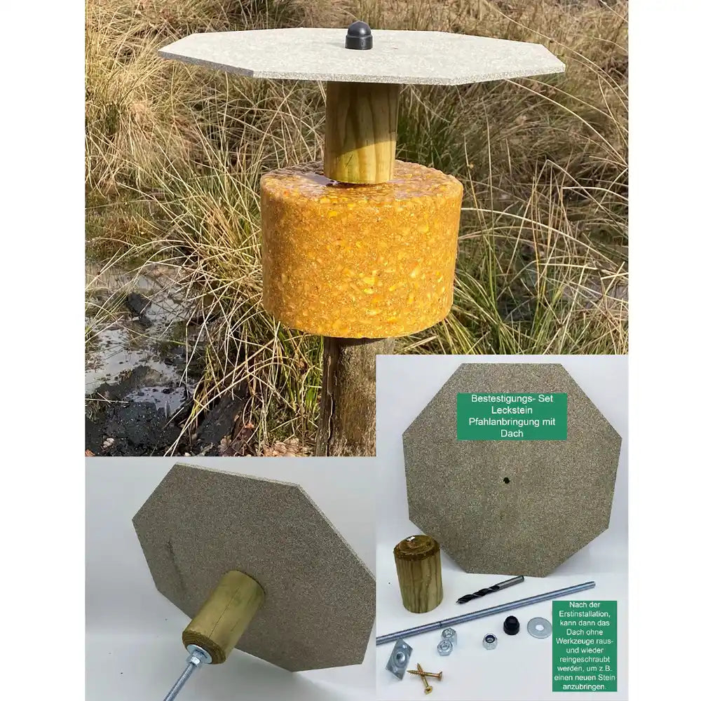 WildlutscherBefestigungsset Lecksteine