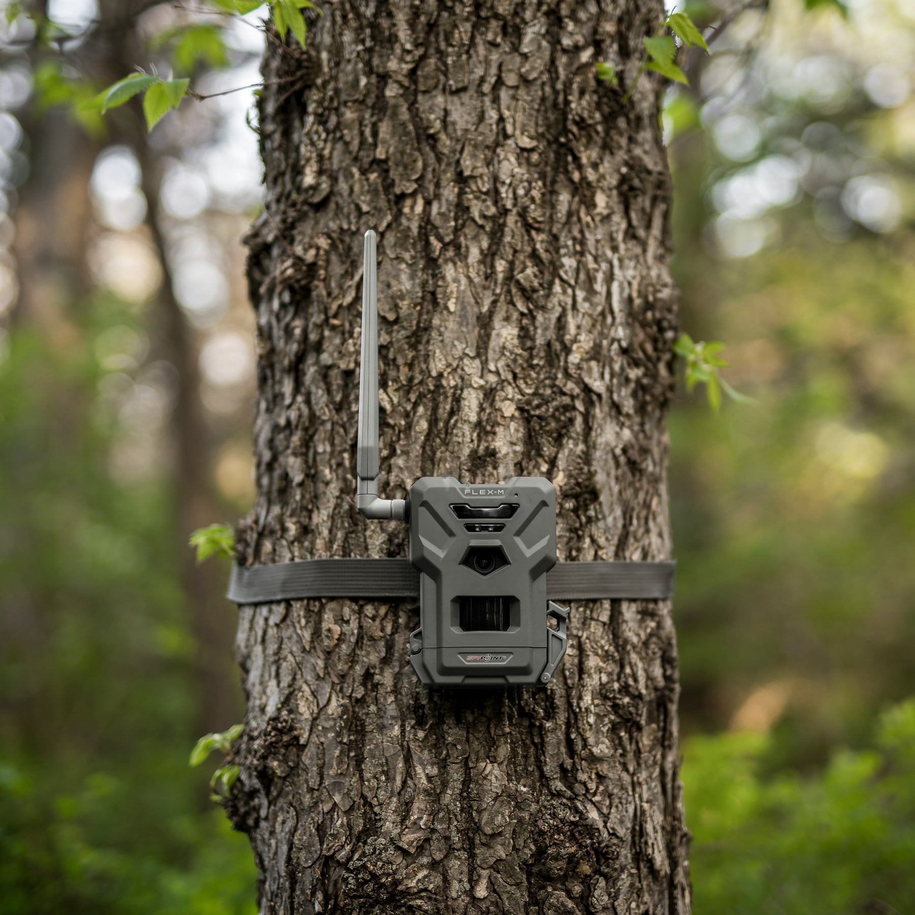 SpypointSPYPOINT FLEX-M TWIN-PACK