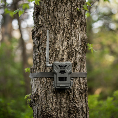SpypointSPYPOINT FLEX-M TWIN-PACK