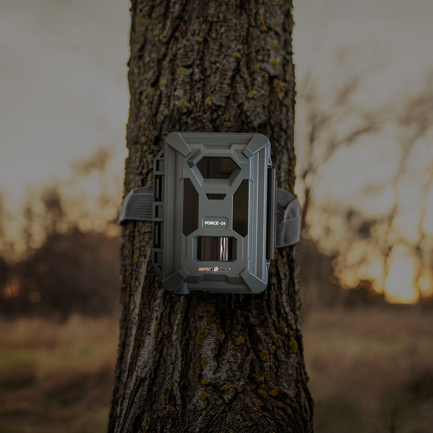 SpypointSPYPOINT FORCE-24 WildkameraSPYPOINT FORCE-24 Wildkamera - 24 MP & 2K VideoForestHunt | Locker, Kirrmittel & Jagdbedarf