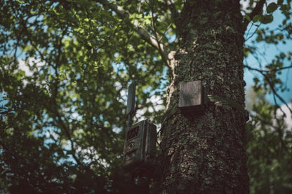 SEISSIGERExterner Akkupack für WildkamerasSEISSIGER 6V Akkupack - Externe Stromversorgung für Wildkameras | Lange Laufzeit & wetterfestForestHunt | Locker, Kirrmittel & Jagdbedarf