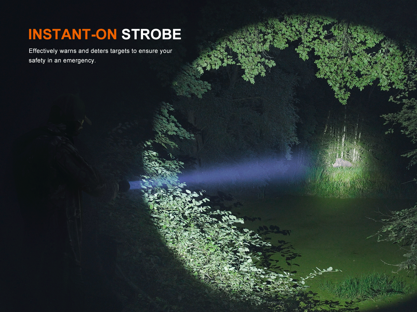 fenixlightFenix HT18R V2.0 Multimodus-Taschenlampe mit großer Reichweite, 3700 LumenFenix HT18R V2.0 Multimodus-Taschenlampe mit großer Reichweite, 3700 LumenForestHunt | Locker, Kirrmittel & JagdbedarfTaschenlampe