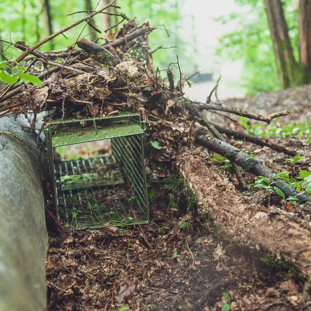 Lebendfalle – zwei Klapptüren, ForestHunt e.U. – ForestHunt e.U