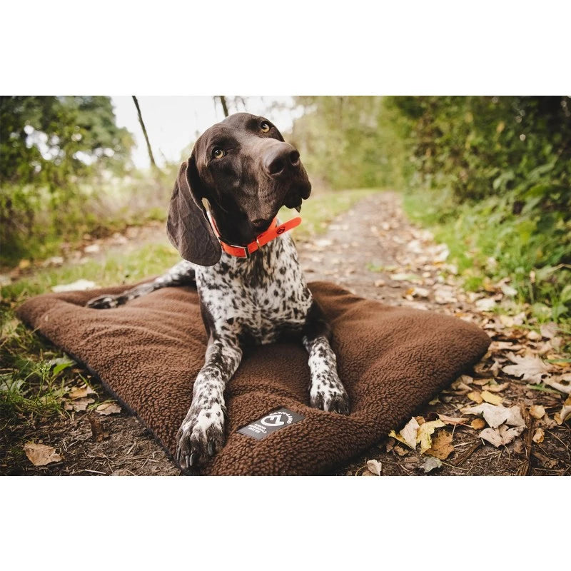 Gepolsterte Hundematte in Braun