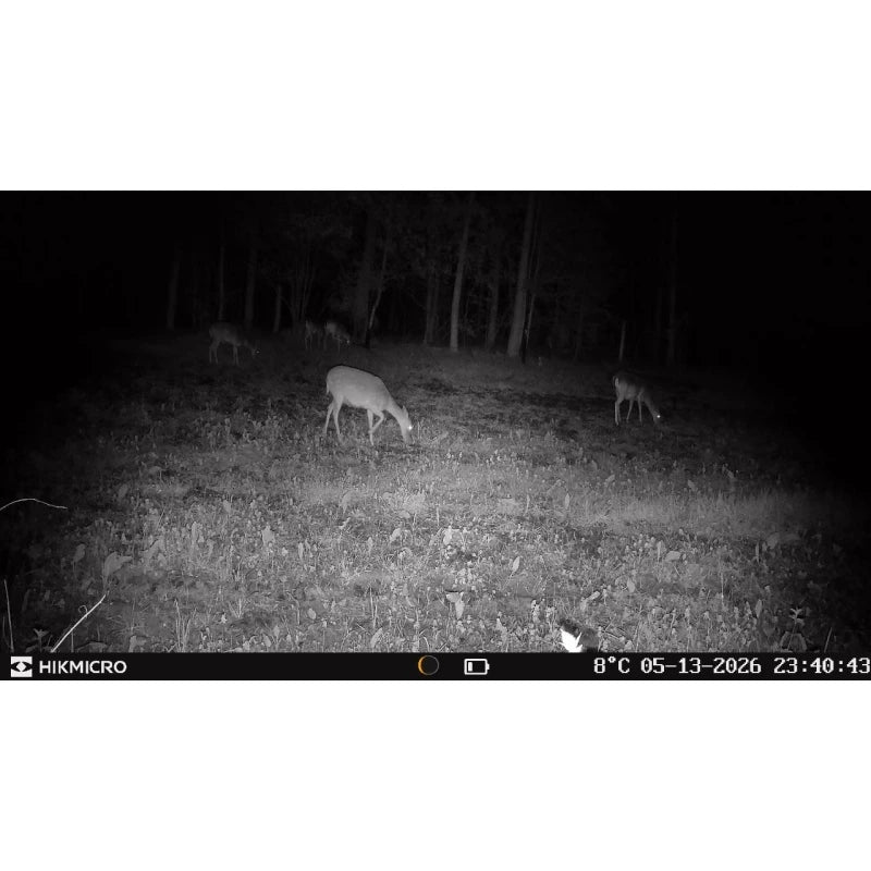 HIKMICRO T16 Wildkamera 4G LTE