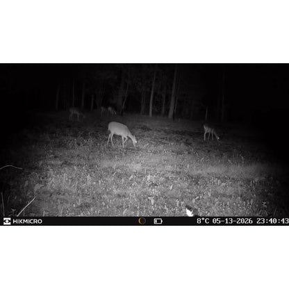 HIKMICRO T16 Wildkamera 4G LTE