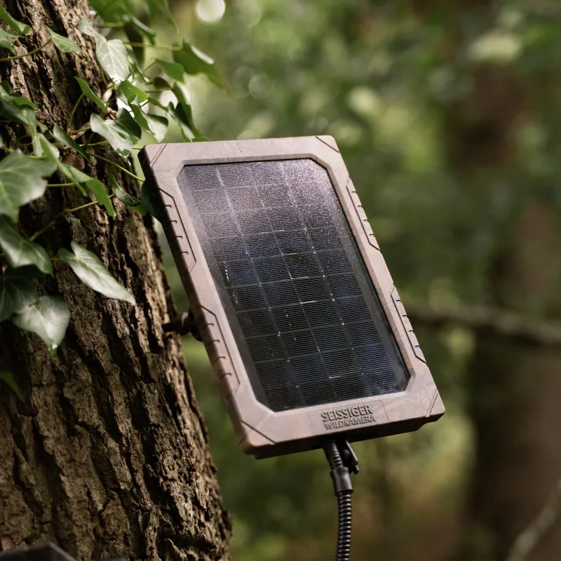 SEISSIGERSEISSIGER Solarpanel für WildkamerasSEISSIGER Solarpanel - Solarbetriebene Energiequelle für Wildkameras | 6V & 12V kompatibelForestHunt | Locker, Kirrmittel & Jagdbedarf