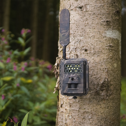 SEISSIGERSEISSIGER Special-Cam LTE "Weißblitz" - SUPERSIM-EditionSEISSIGER Special-Cam LTE „Weißblitz" SUPERSIM-Edition - Wildkamera mit App für JägerForestHunt | Locker, Kirrmittel & Jagdbedarf