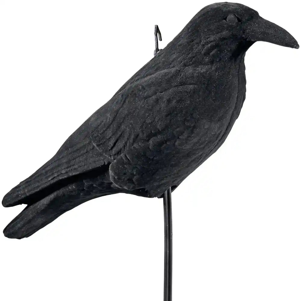 .Lockvogel Krähe, beflockt - 38 cm