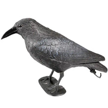 .Lockvogel Krähe - 38 cm