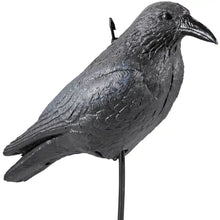 .Lockvogel Krähe - 38 cm