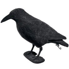 .Lockvogel Krähe, beflockt - 38 cm