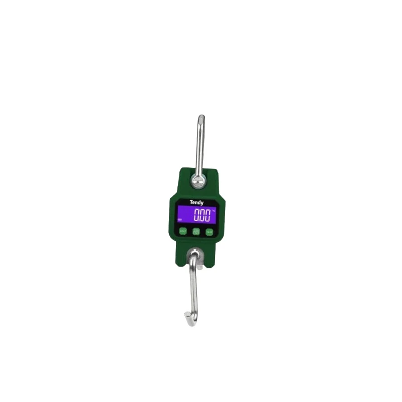 Tendy Fluctus Digitale Waage Grün mit Bluetooth und 300 kg Tragkraft